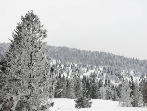 murzasichle19_2tur_35