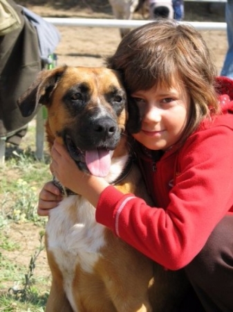 garczyn0820_20080809_1220870356