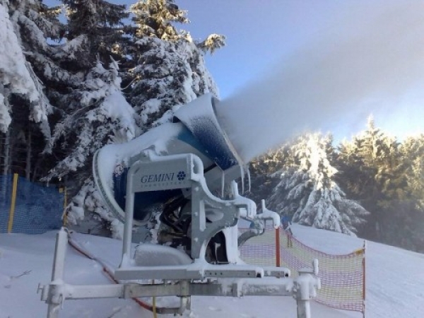 zieleniec0710_20081016_1009375045