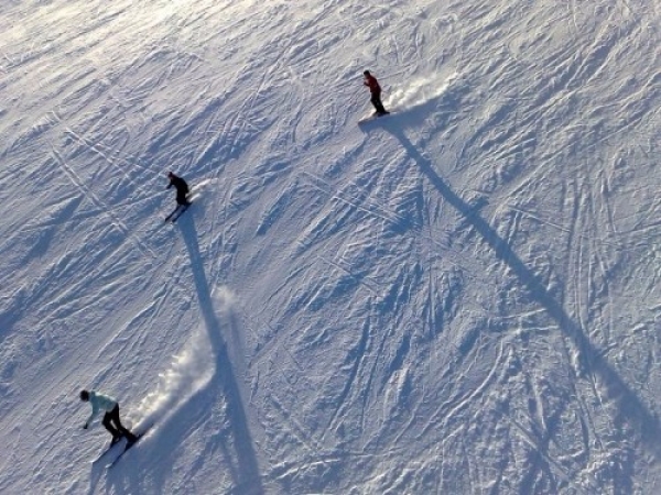 zieleniec0713_20081016_1900720774