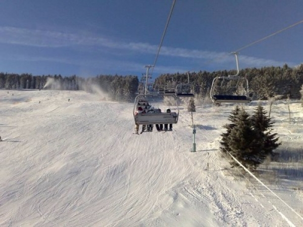 zieleniec072_20081016_1838356007