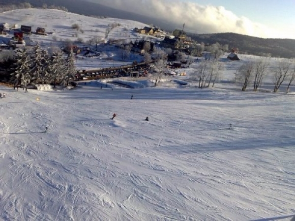 zieleniec077_20081016_2099658105