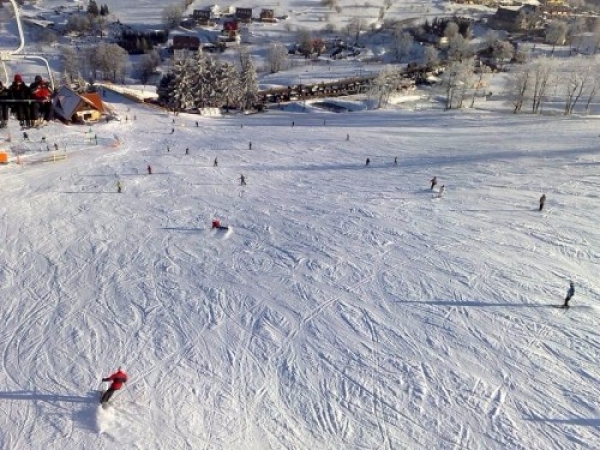 zieleniec078_20081016_1380509315