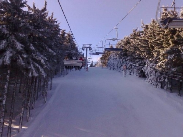 zieleniec079_20081016_1387774539