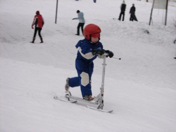 zieleniec0913_20090304_1883871739