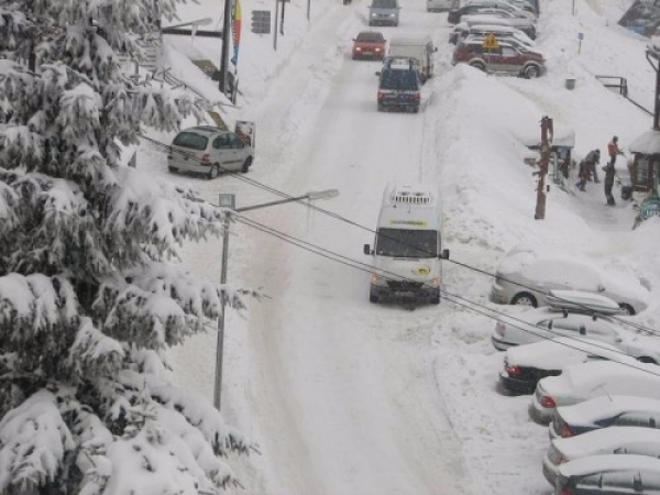 zieleniec099_20090304_1807912288