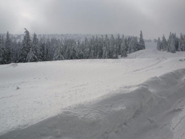 ostatani_snieg12_20090401_1549141137