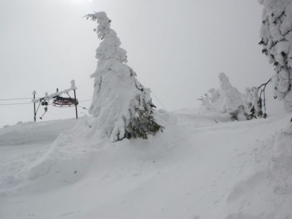 ostatani_snieg13_20090401_1360194541