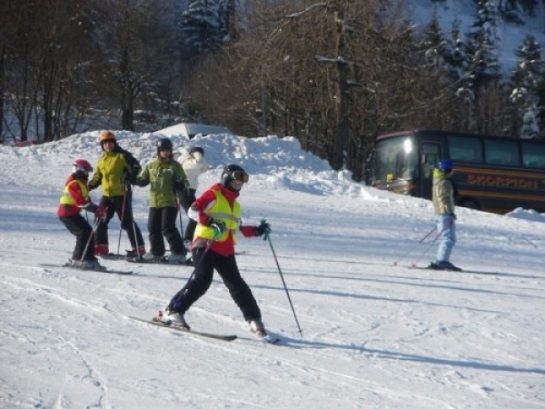 zieleniec_201011_20100203_1922245579