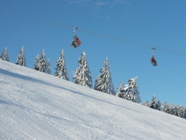 zieleniec_20108_20100203_1133079936