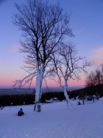 zieleniec11_1turnus22_20110208_1176971251