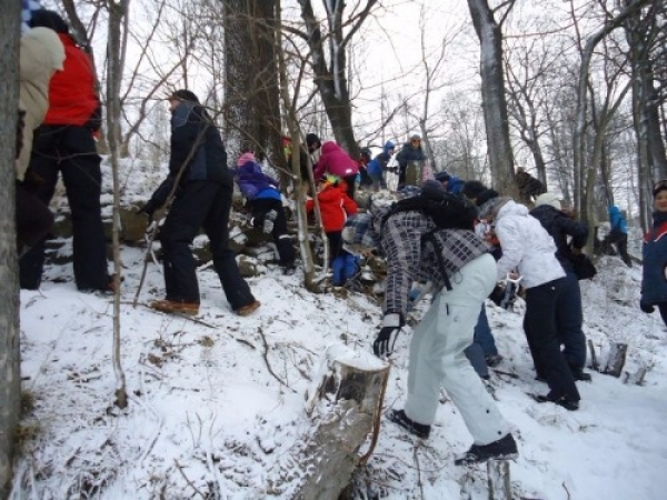 zieleniec11_1turnus2_20110208_2015881947