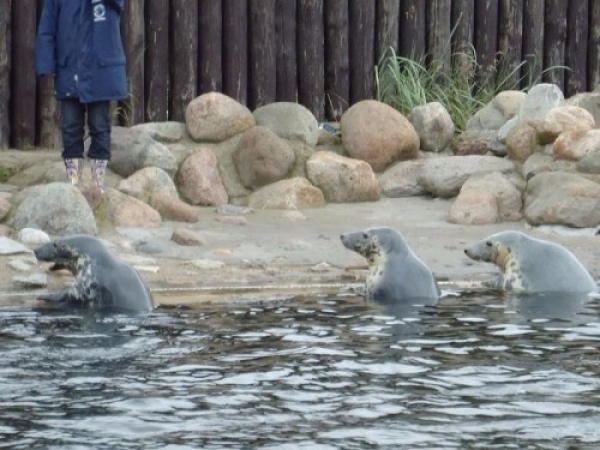 oslonino_1121_20110804_1677399684