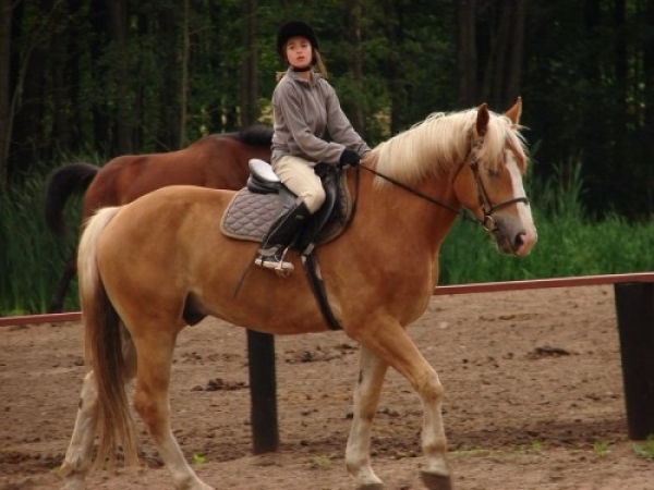 garczyn_1135_20110913_1622211140