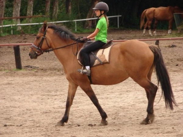 garczyn_1136_20110913_2006599024