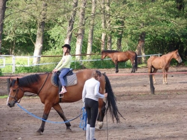 garczyn_1145_20110913_1371382222