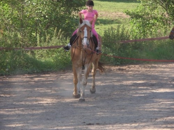 garczyn_1151_20110913_1610238096