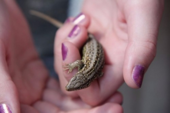 czluchow1230_20120803_1346863149