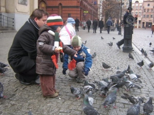 torun_02_12_200715_20071205_1013204208