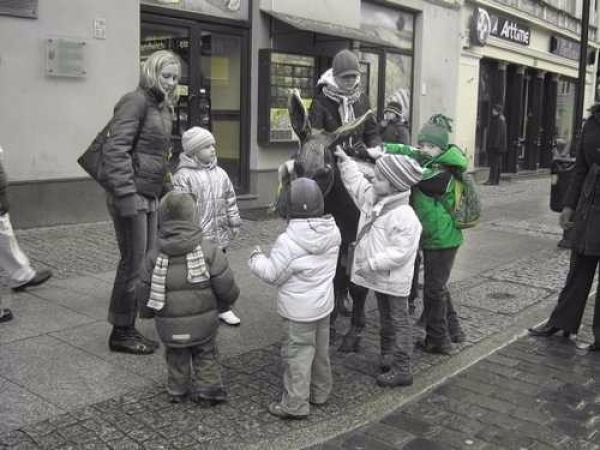 torun_02_12_20077_20071205_1030347949