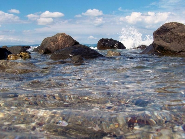 Aleksandra Drozdowska 2