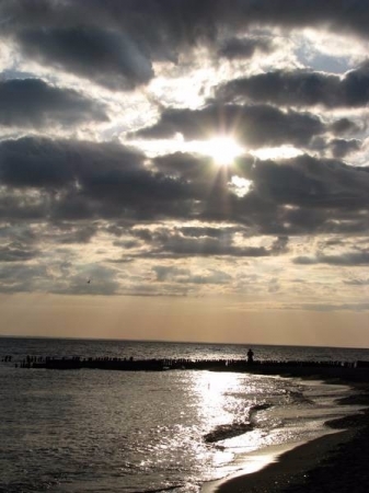 Aneta Jarmużewska 2