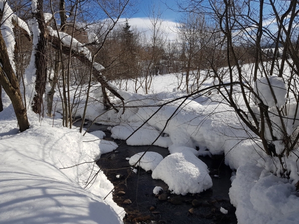 murzasichle19_1tur_103